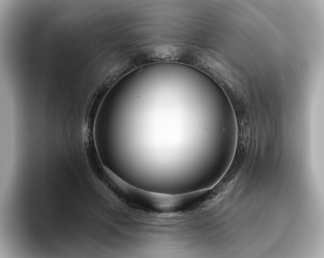 X0000096630597200802051108