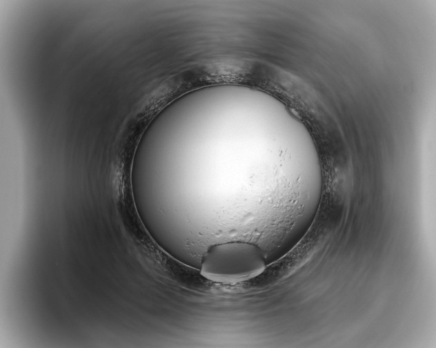 X0000096630599200802051108