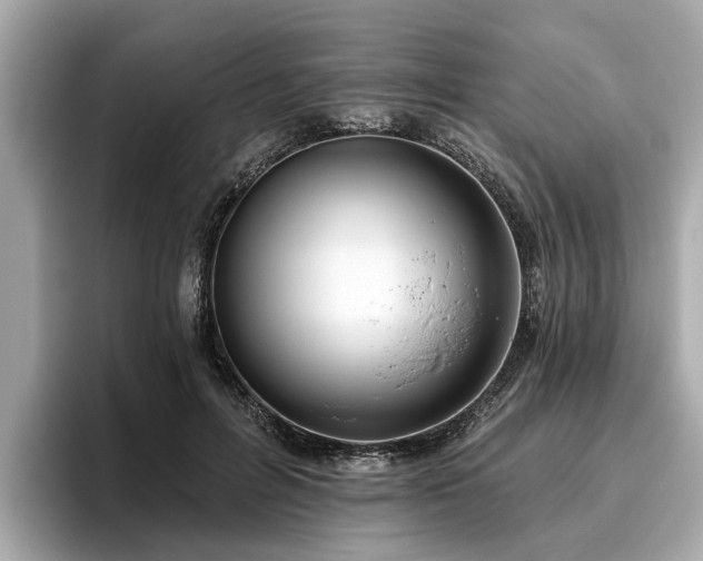 X0000096630600200802051108
