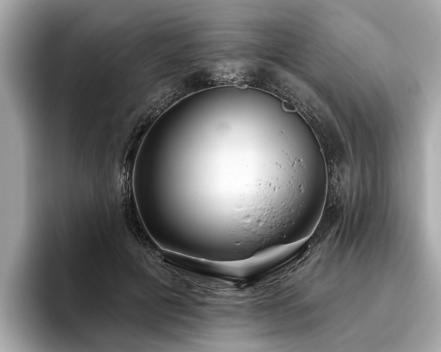 X0000096630601200802051108