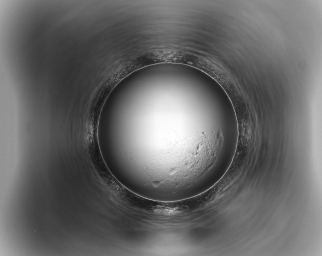 X0000096630602200802051108