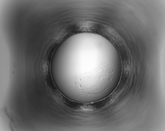 X0000096630603200802051108