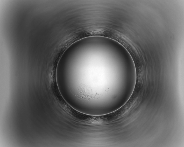 X0000096630604200802051108