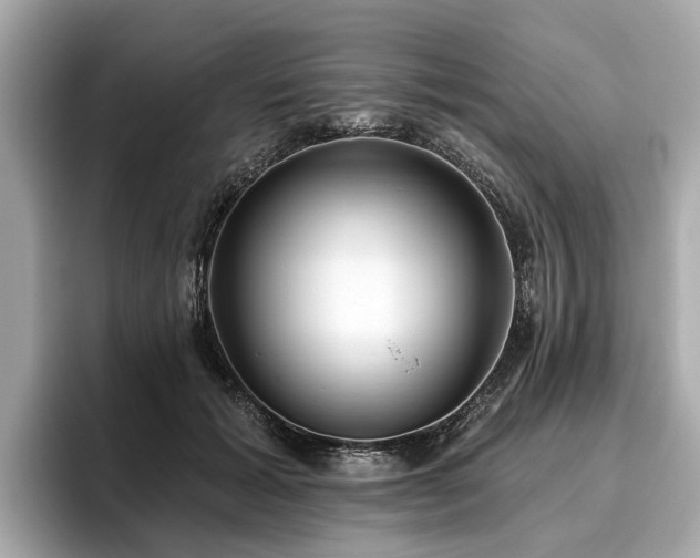 X0000096630605200802051108