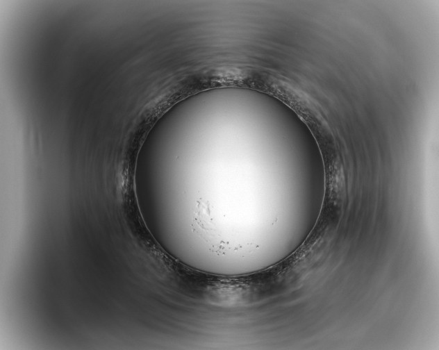 X0000096630608200802051108