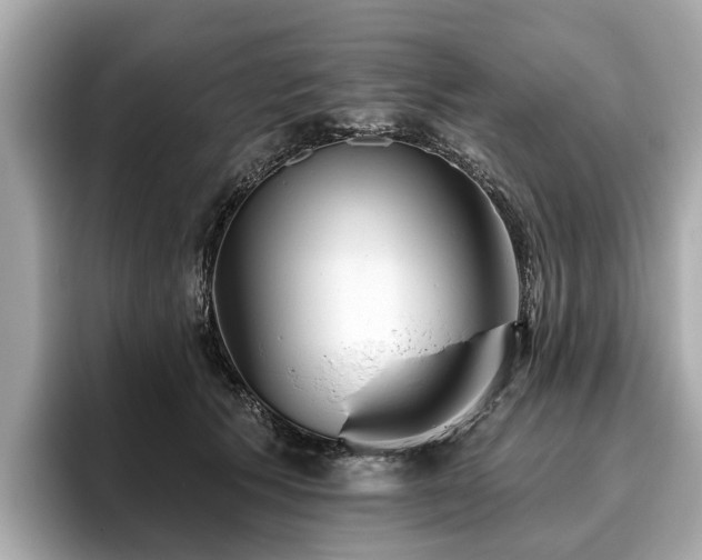 X0000096630609200802051108