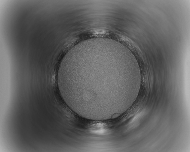 X0000096630610200802051108