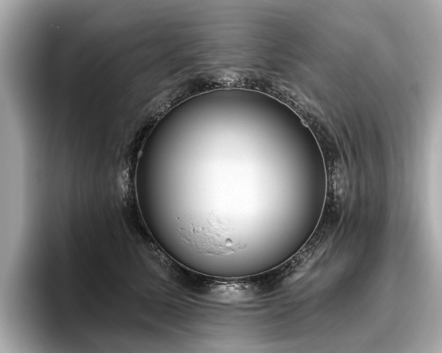 X0000096630611200802051108