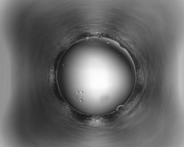 X0000096630612200802051108