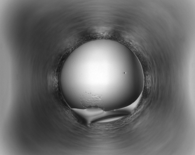 X0000096630613200802051108