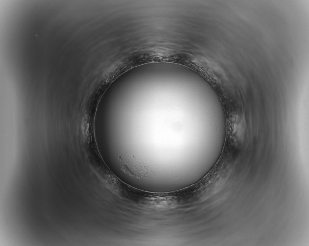 X0000096630615200802051108