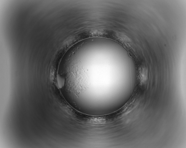X0000096630619200802051108