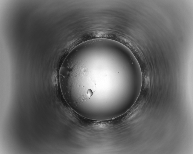 X0000096630620200802051108