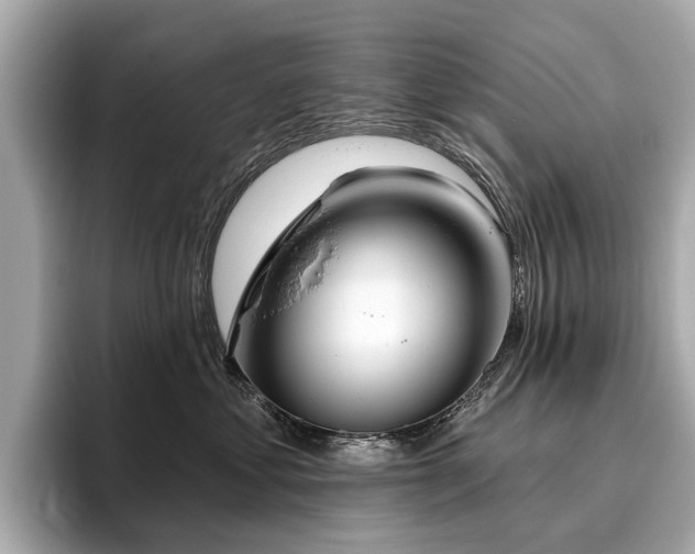 X0000096630621200802051108