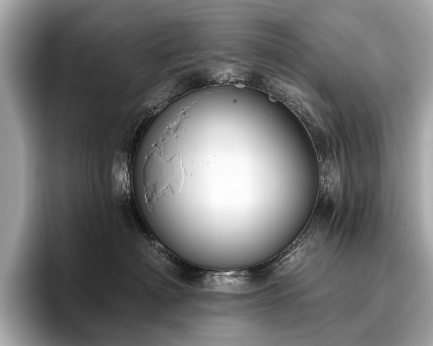 X0000096630622200802051108