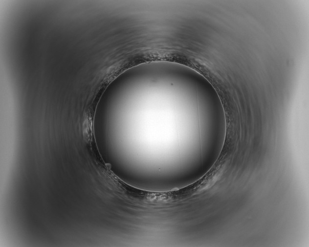 X0000096630624200802051108