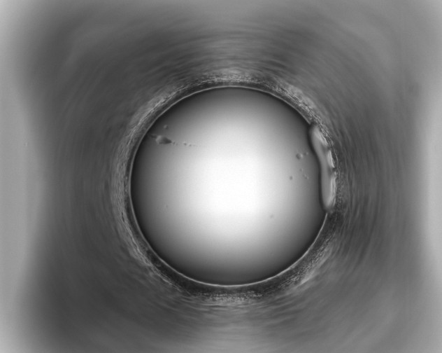X0000096630625200802051107