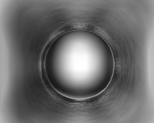 X0000096630626200802051107