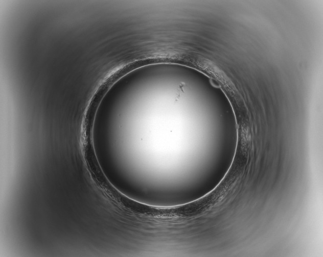 X0000096630628200802051107