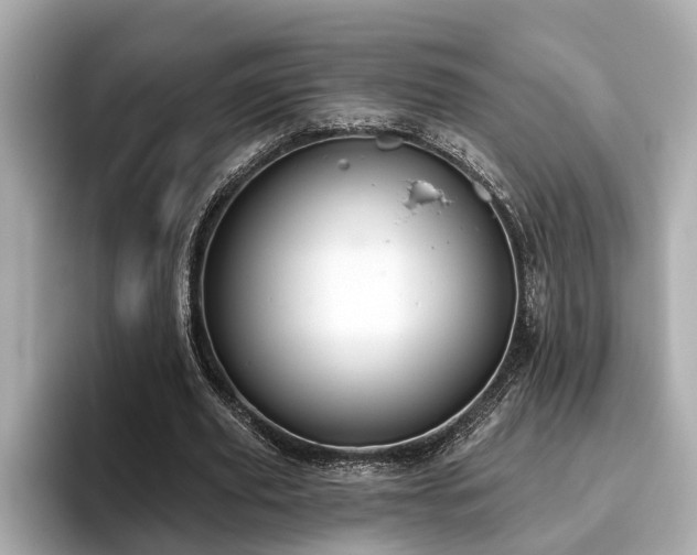 X0000096630629200802051107