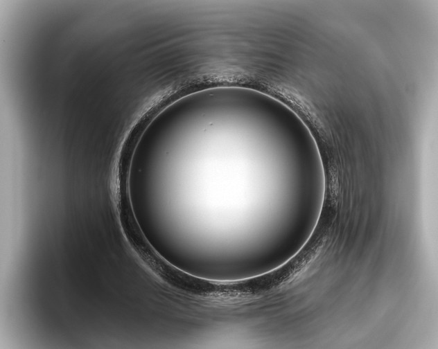 X0000096630630200802051108