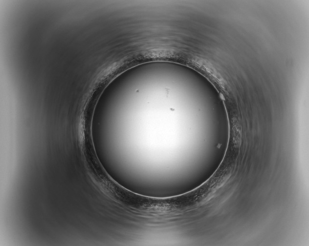X0000096630631200802051108
