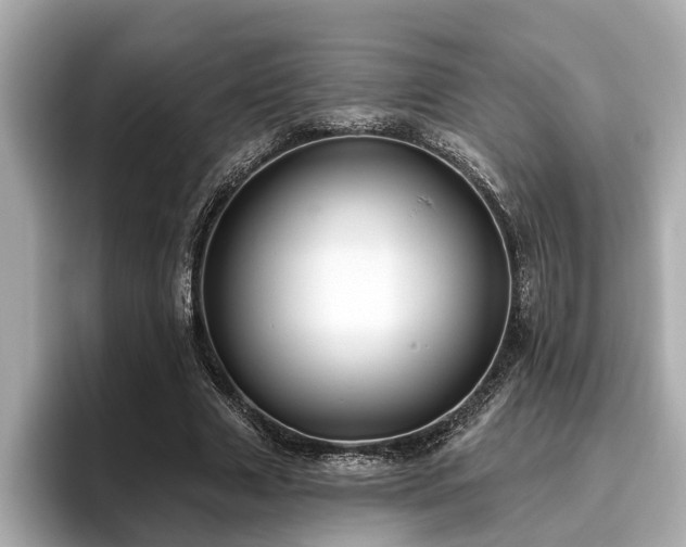 X0000096630633200802051108
