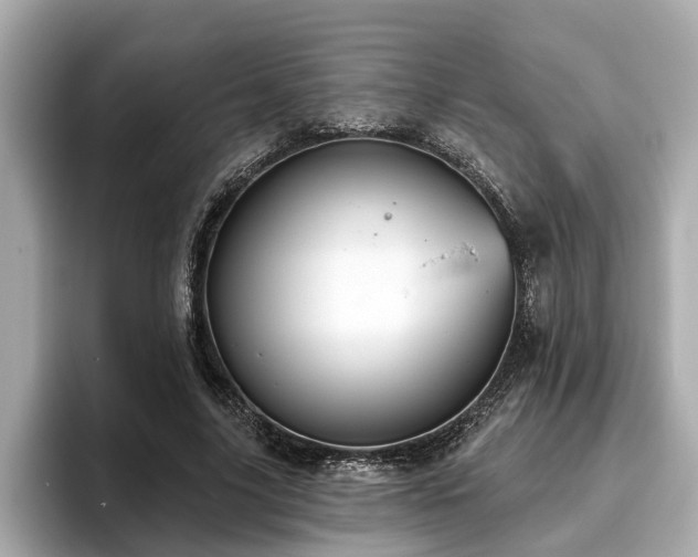 X0000096630635200802051108
