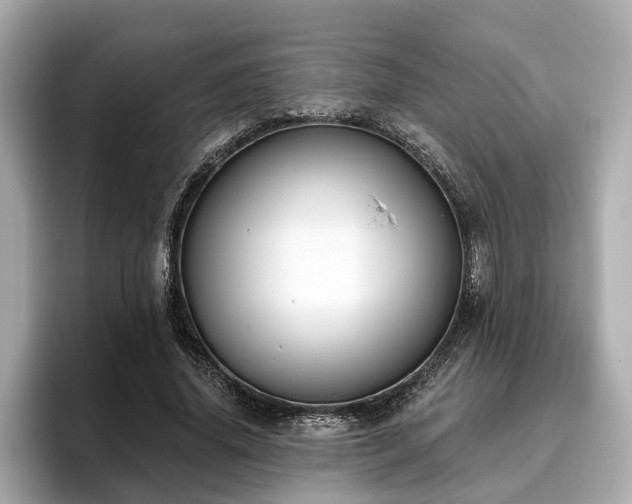 X0000096630636200802051108