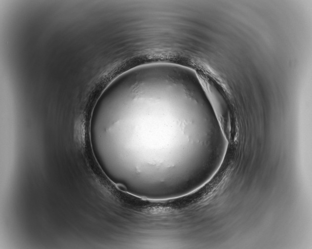 X0000096630637200802051108