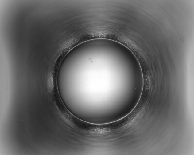 X0000096630638200802051108
