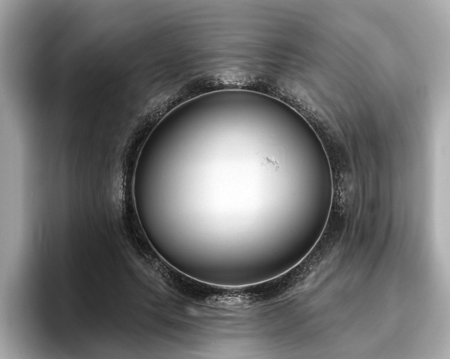X0000096630639200802051108