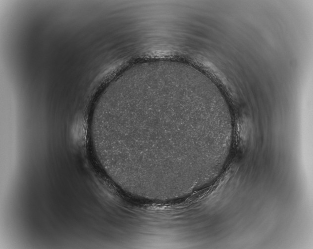 X0000096630640200802051108