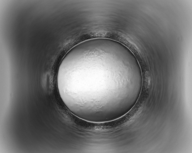 X0000096630641200802051108