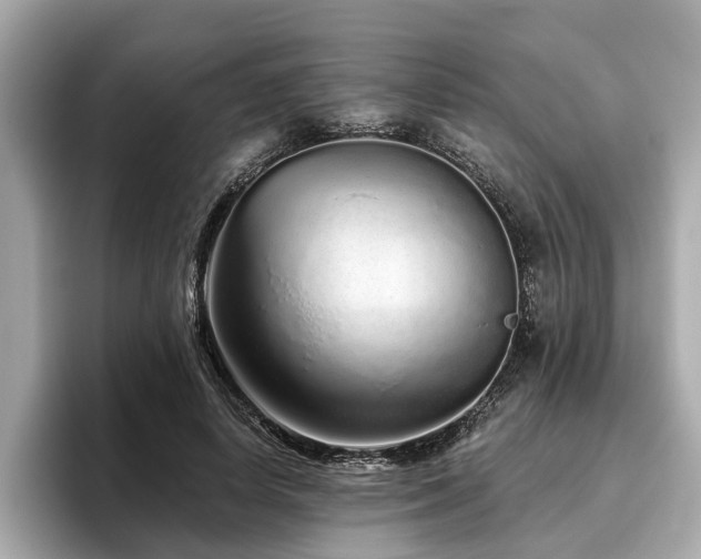 X0000096630642200802051108