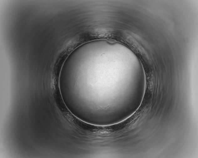 X0000096630643200802051108