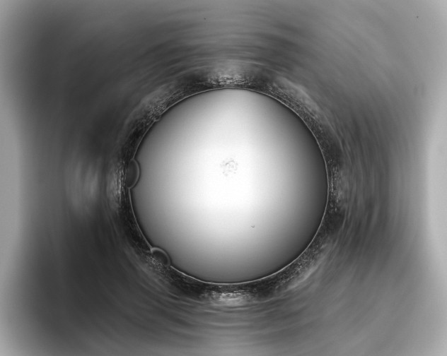 X0000096630645200802051108