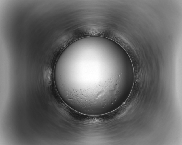X0000096630646200802051108