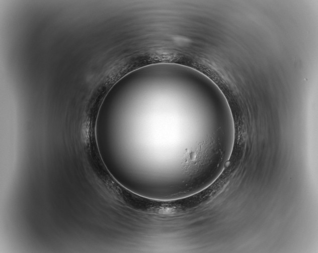 X0000096630647200802051108