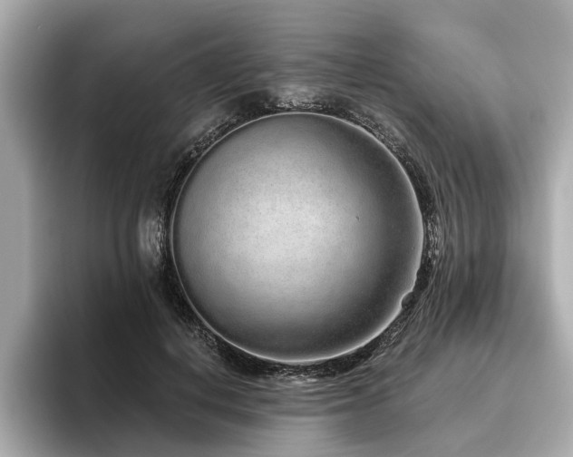 X0000096630648200802051108