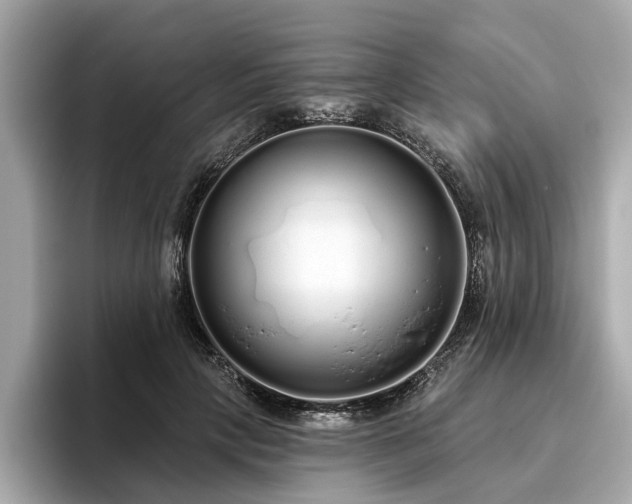 X0000096630649200802051108