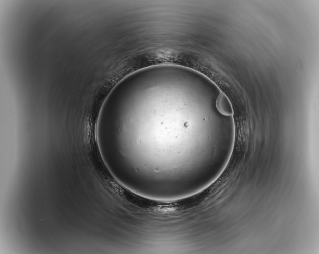 X0000096630651200802051108