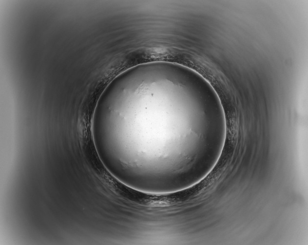 X0000096630653200802051108