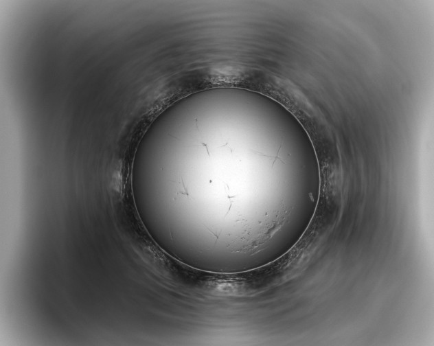 X0000096630655200802051108
