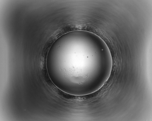 X0000096630656200802051108