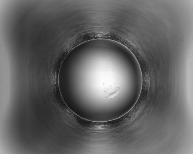 X0000096630657200802051108