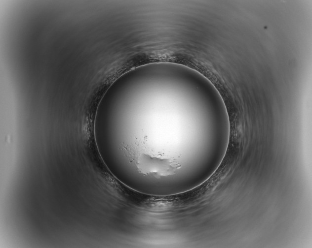X0000096630658200802051108