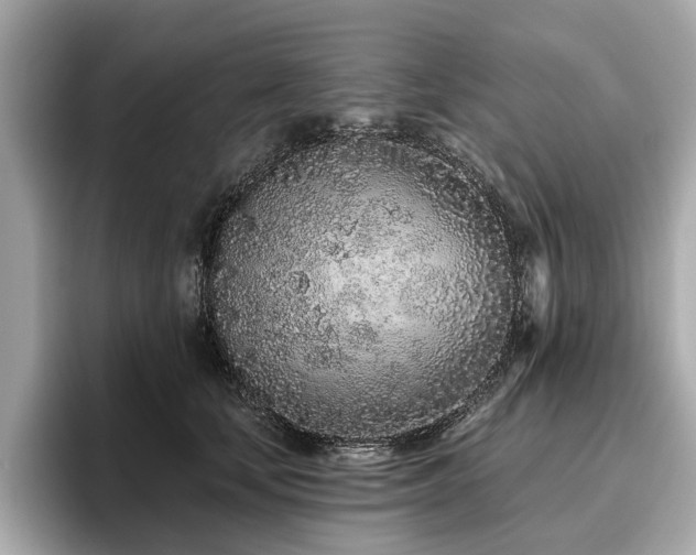 X0000096630659200802051108