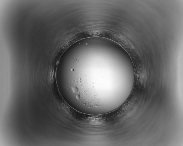 X0000096630660200802051108