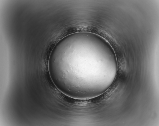 X0000096630661200802051108